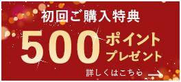 初回ご購入特典500ポイントプレゼント