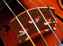 Selectバイオリンの選び方