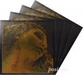 【Evah Pirazzi Gold】エヴァ ピラッツィ ゴールド バイオリン弦 セット(1E=3155/3154・4G=ゴールド巻)