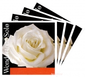 【WondertoneSolo】ワンダートーン ソロ バイオリン弦 セット(1E=アドバンストスチール・3156/3152)(3営業日以内での発送)