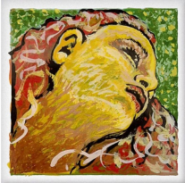 【Evah Pirazzi NEO】エヴァバイオリン ネオ バイオリン弦 2A